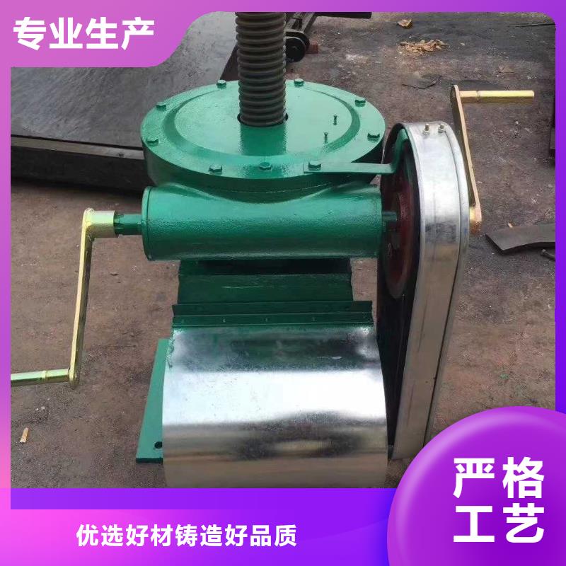 30噸QLC螺桿啟閉機(jī)使用方法專業(yè)設(shè)計(jì)移動式臺車啟閉機(jī)本地服務(wù)商
