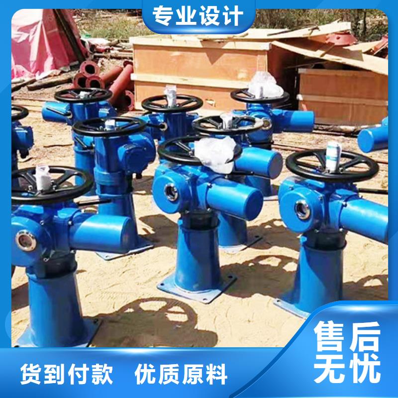 平門卷揚(yáng)式啟閉機(jī)N年生產(chǎn)經(jīng)驗(yàn)<本地>供應(yīng)商