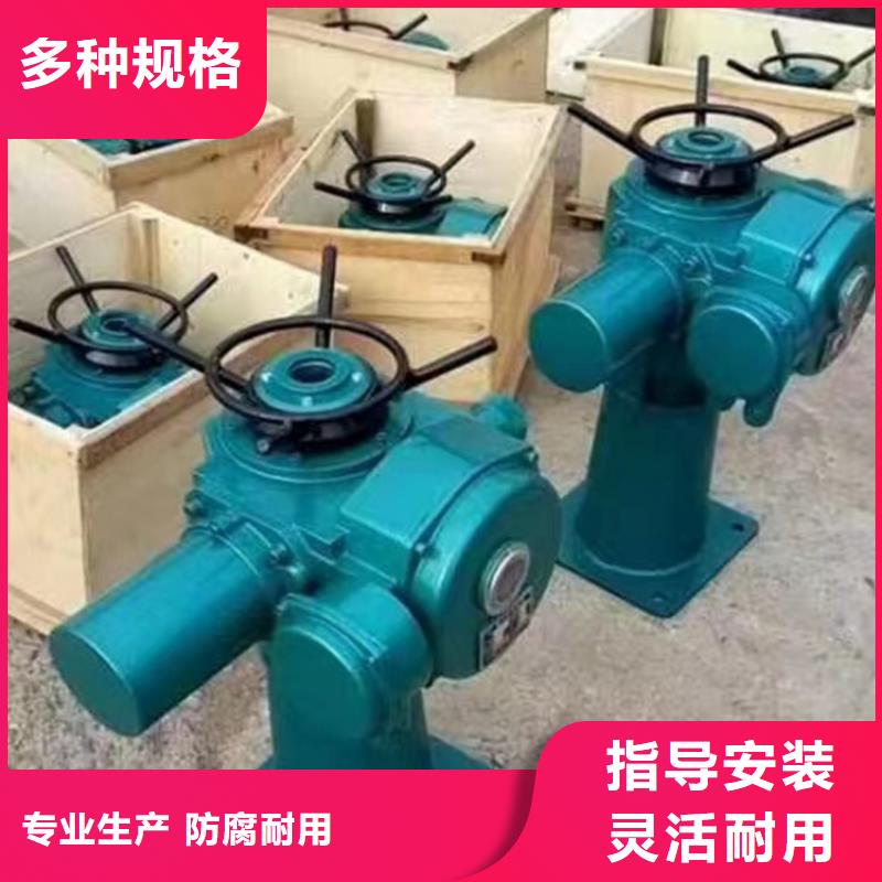 卷扬式启闭机优选厂商本地品牌