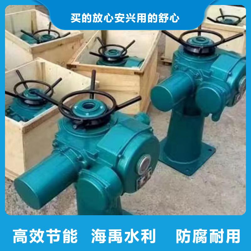 側(cè)搖式螺桿啟閉機(jī)品質(zhì)優(yōu)良本地經(jīng)銷商