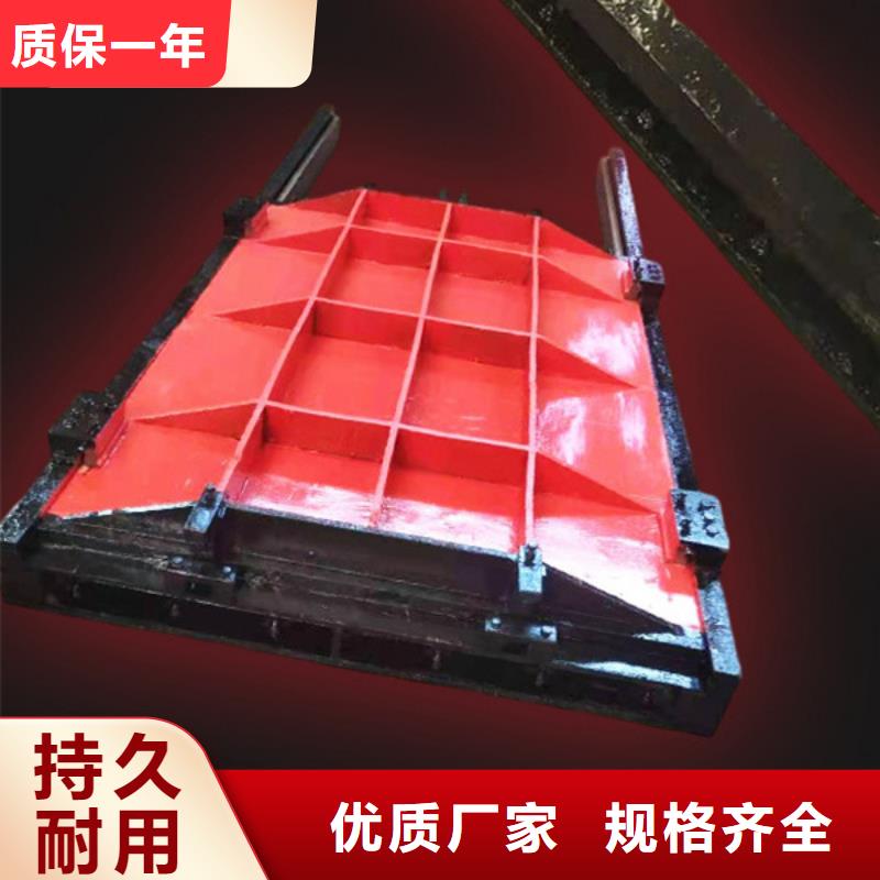 漳州平板式鑄鐵閘門規(guī)格齊全實(shí)力真材實(shí)料加工定制