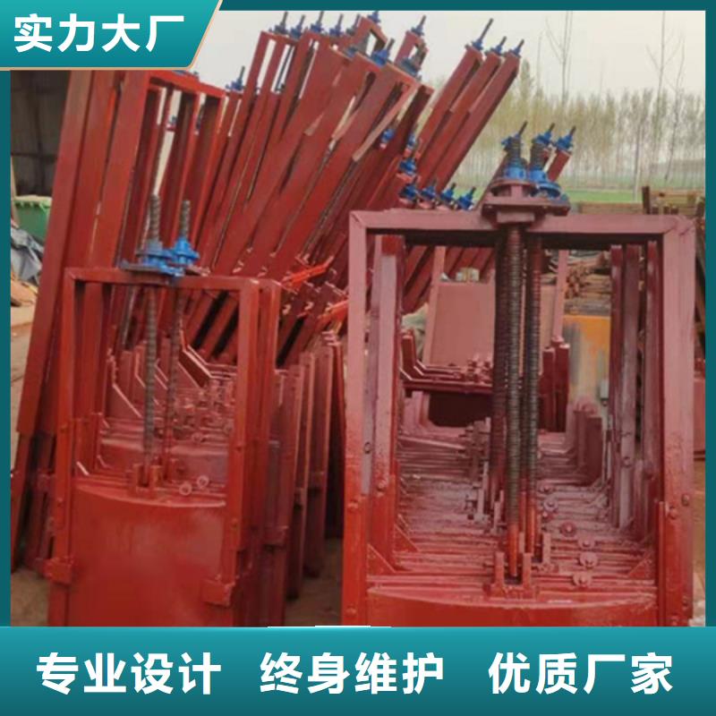 遂寧拱形鑄鐵閘門市場常年出售