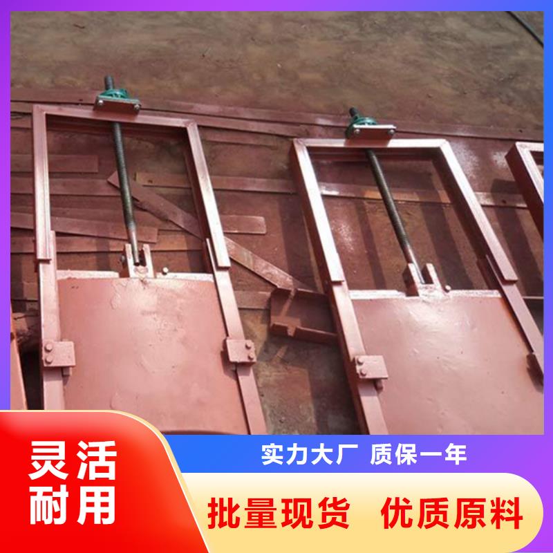 揭陽雙向鑄鐵閘門低用心制作