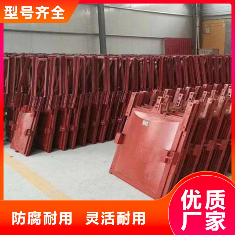 機(jī)閘一體鑄鐵閘門(mén)貼心服務(wù)快速生產(chǎn)