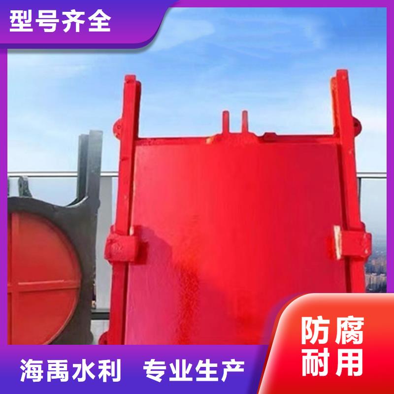 珠海雙止水鑄鐵閘門精工細(xì)作品質(zhì)優(yōu)良質(zhì)保一年