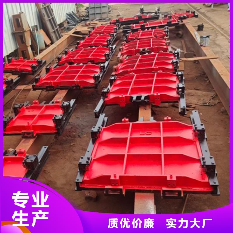 吉林鑲銅鑄鐵閘門服務(wù)始終如一設(shè)計(jì)制造銷售服務(wù)一體