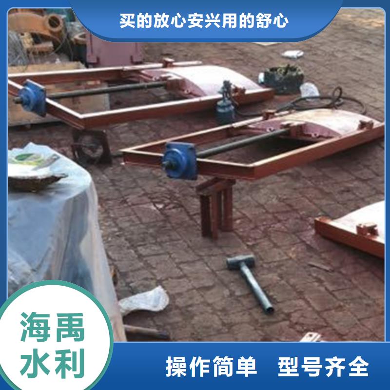 平板式鑄鐵閘門產(chǎn)品細節(jié)參數(shù)支持加工定制