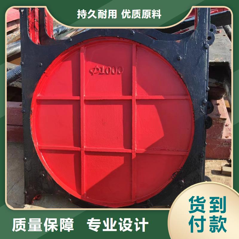 機(jī)閘一體鑄鐵閘門全新升級(jí)品質(zhì)保障本地公司