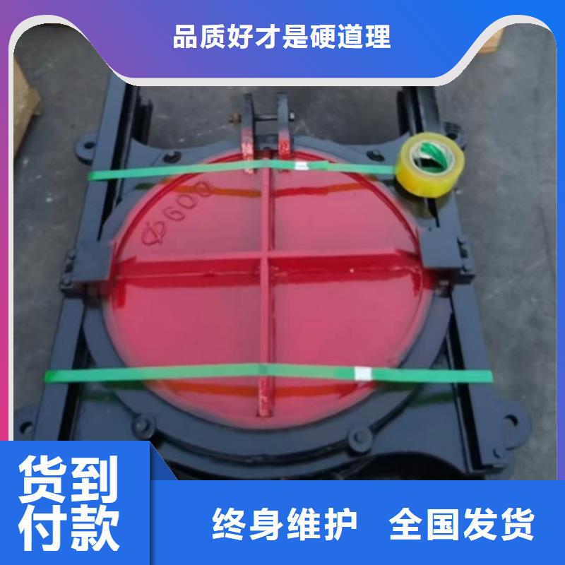 暗桿式鑄鐵閘門品類齊全同城供應(yīng)商