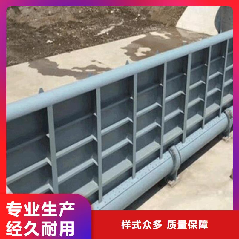 底橫軸閘門來電咨詢信譽至上