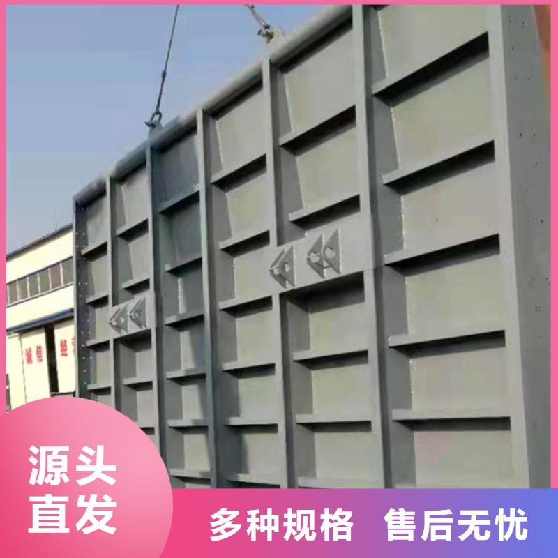 自控翻板閘門嚴謹工藝{本地}品牌