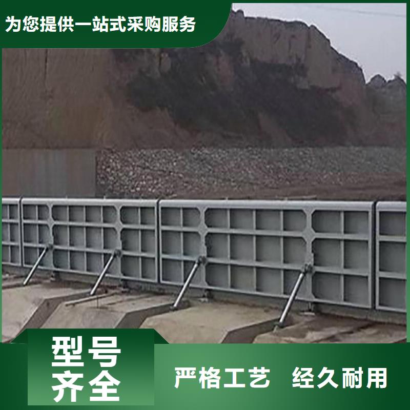 翻板闸门优选货源当地生产商