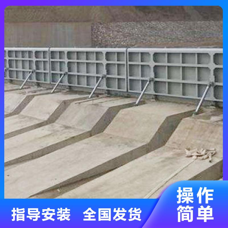 閘門精工細致打造本地生產(chǎn)廠家
