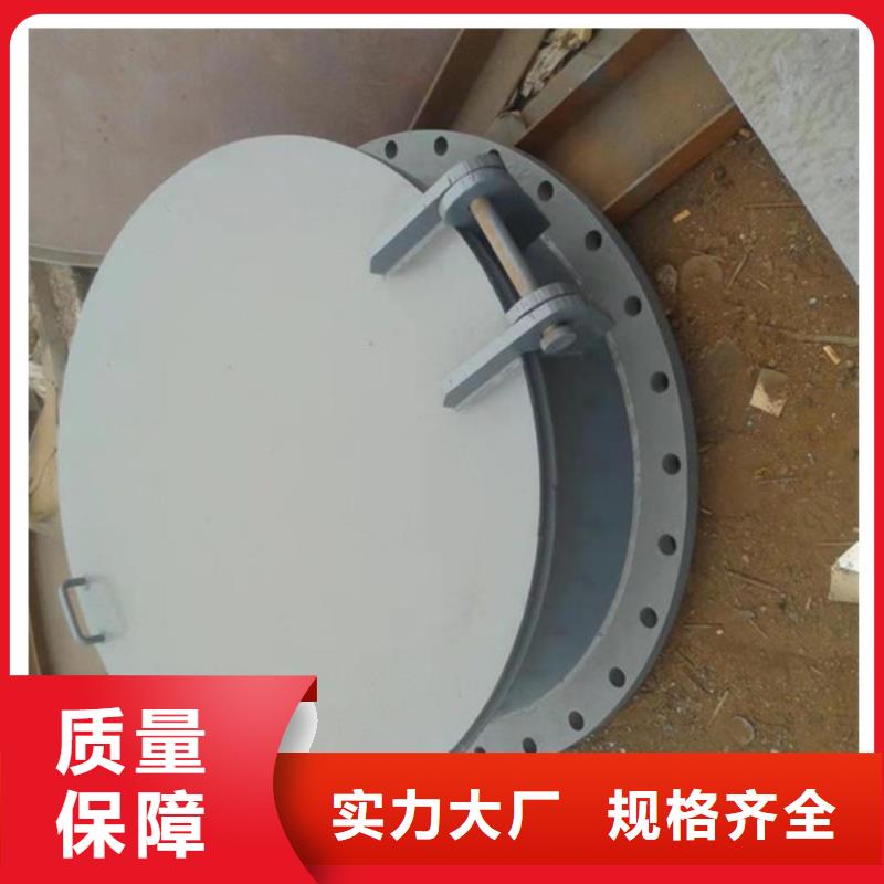 雙開門式拍門復(fù)合材料拍門海禹水利滿足客戶所需