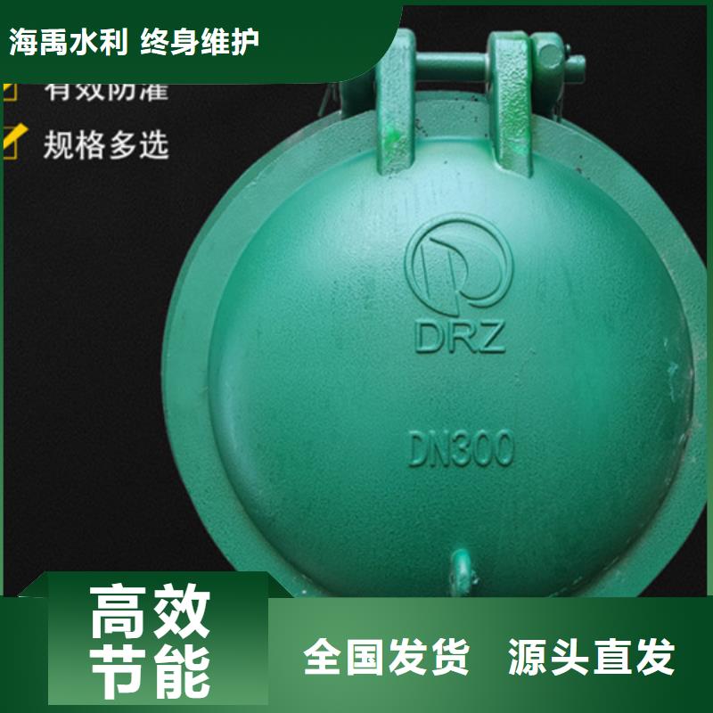 雙開門式拍門鑄鐵拍門廠家終身維護(hù)0中間商差價