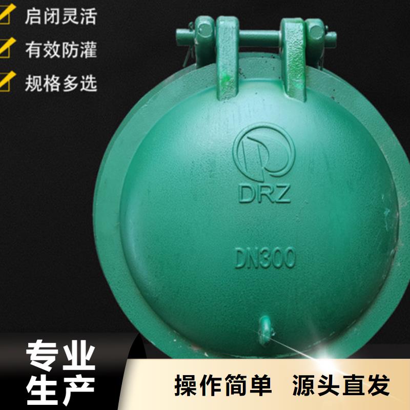 双开门式拍门复合材料拍门厂家专业生产同城货源