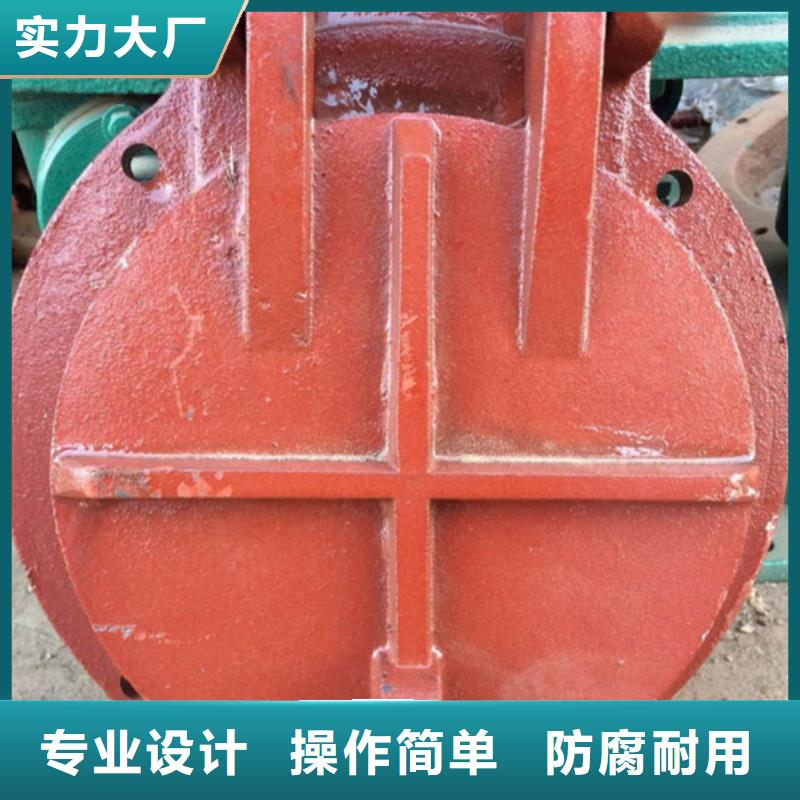 玻璃鋼拍門pe拍門專業(yè)設(shè)計當(dāng)?shù)厣a(chǎn)商