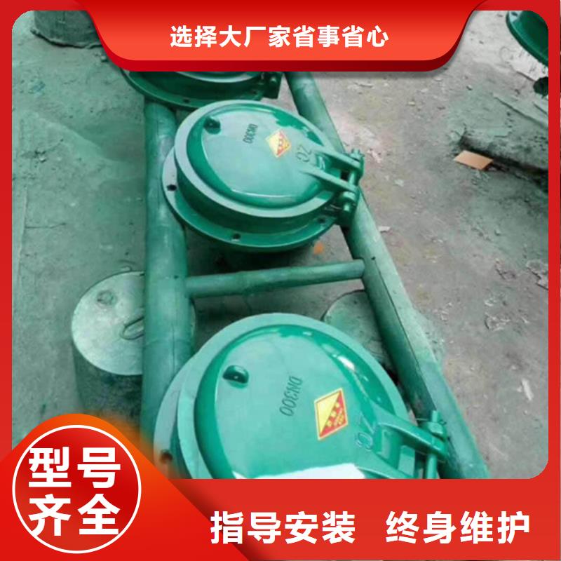 雙開門式拍門鋼制拍門廠家質(zhì)量保障優(yōu)選貨源