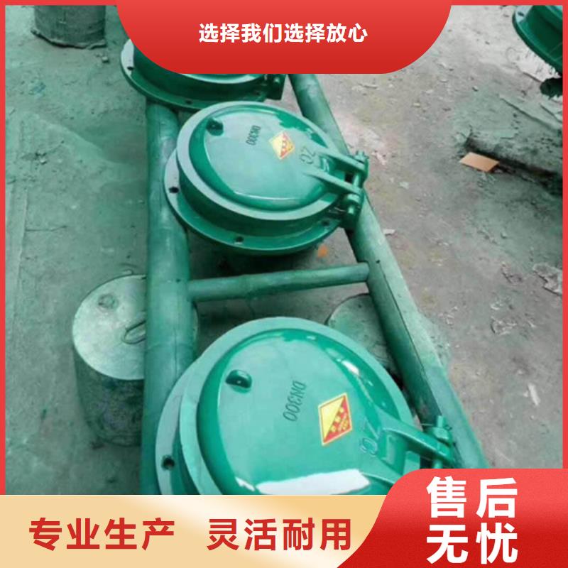 雙開門式拍門玻璃鋼拍門廠家嚴(yán)格工藝產(chǎn)地工廠