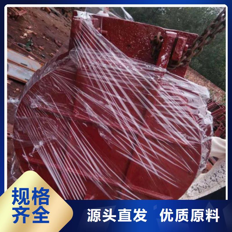 側(cè)開式拍門拍門廠家專業(yè)設(shè)計(jì)實(shí)體廠家