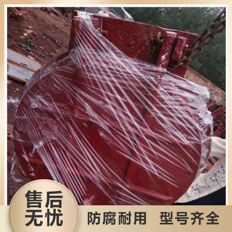 浮箱拍門鋼制拍門廠家實力大廠當?shù)亟?jīng)銷商