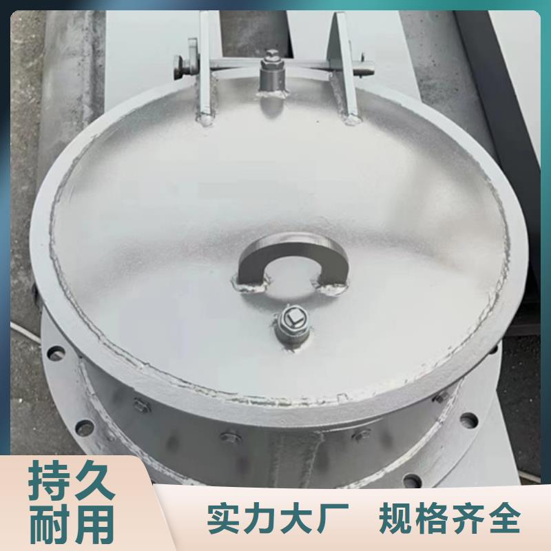 钢制拍门单开拍门优良材质您身边的厂家