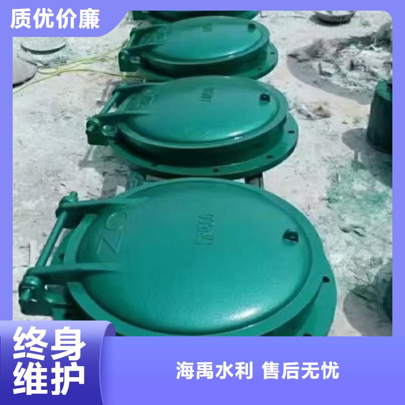 拍門拍門廠家優(yōu)良材質(zhì)細(xì)節(jié)嚴(yán)格凸顯品質(zhì)