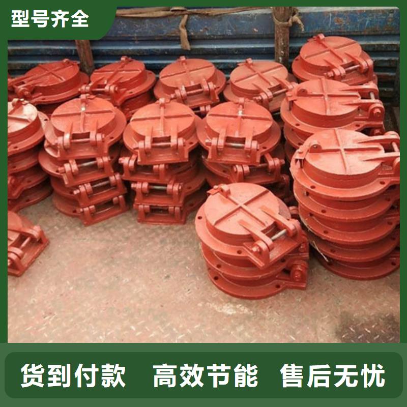 雙開門式拍門單開拍門型號(hào)齊全本地廠家