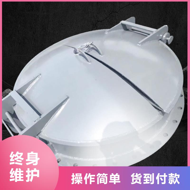 側(cè)開式拍門玻璃鋼拍門廠家終身維護(hù)當(dāng)?shù)貜S家