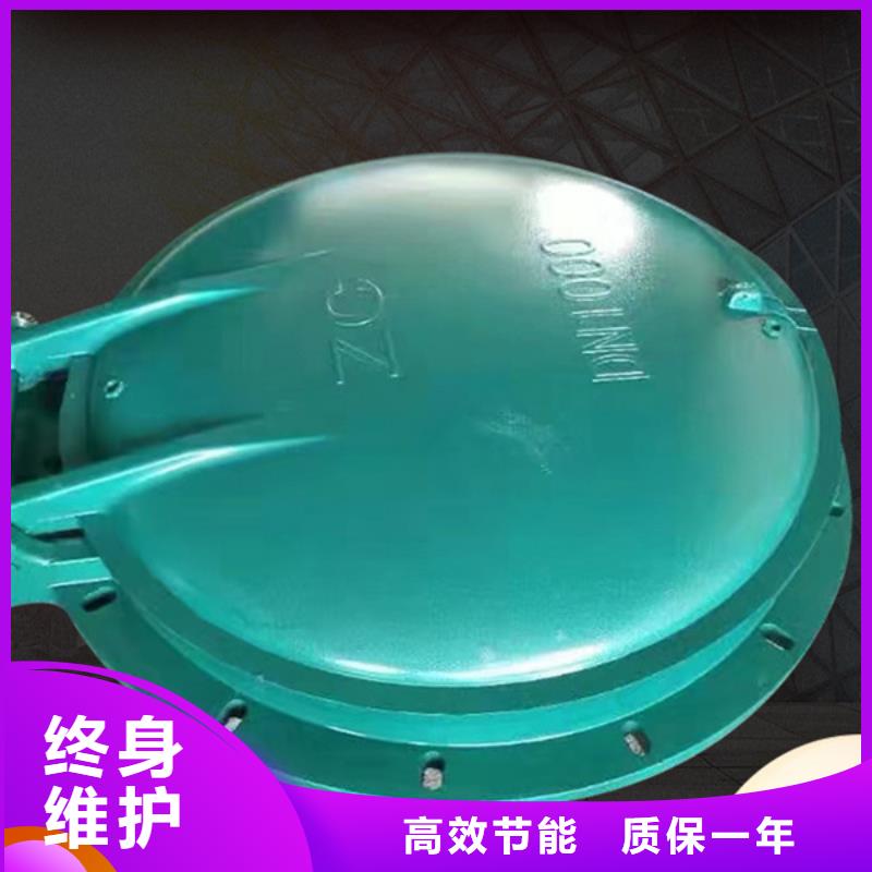 雙開(kāi)門(mén)式拍門(mén)節(jié)能型拍門(mén)操作簡(jiǎn)單【當(dāng)?shù)亍糠?wù)商