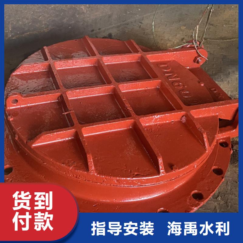 拍門拍門廠家防腐耐用源頭工廠量大優(yōu)惠