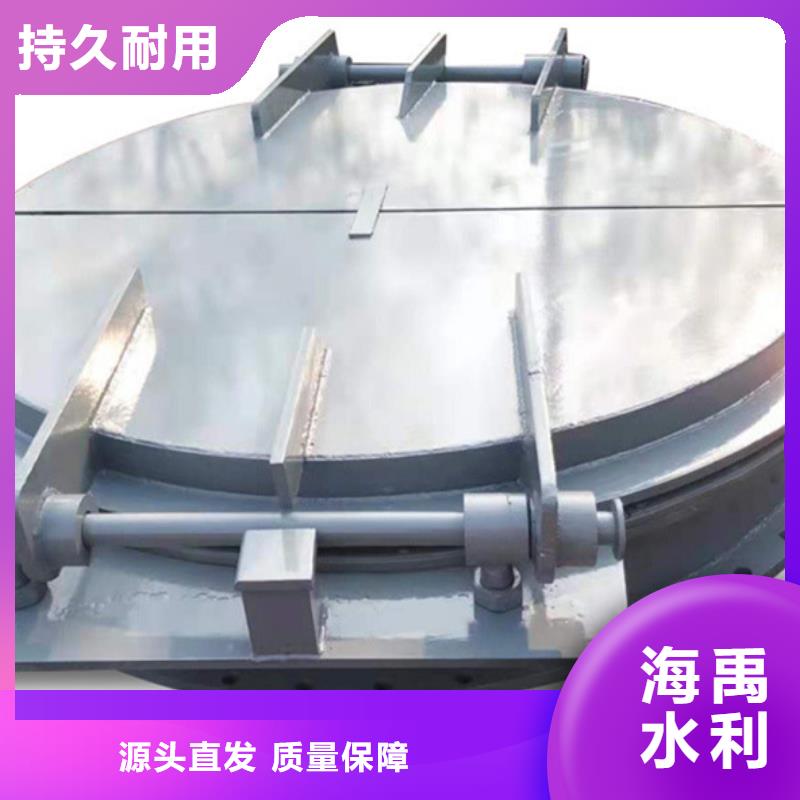 側(cè)開式鋼拍門鋼制拍門廠家經(jīng)久耐用供應商