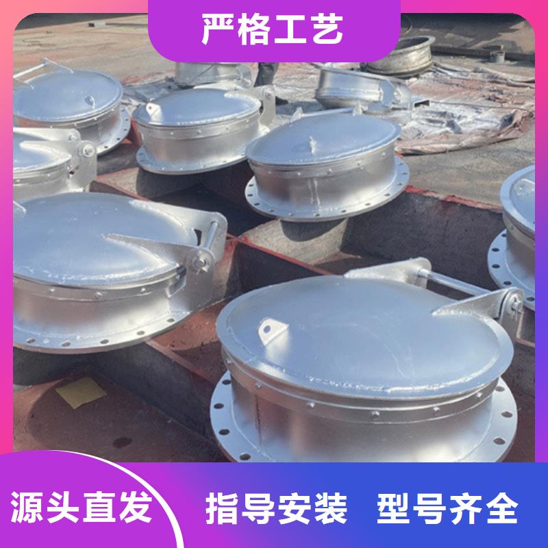 側(cè)開式拍門雙開門式拍門廠家防腐耐用來圖定制