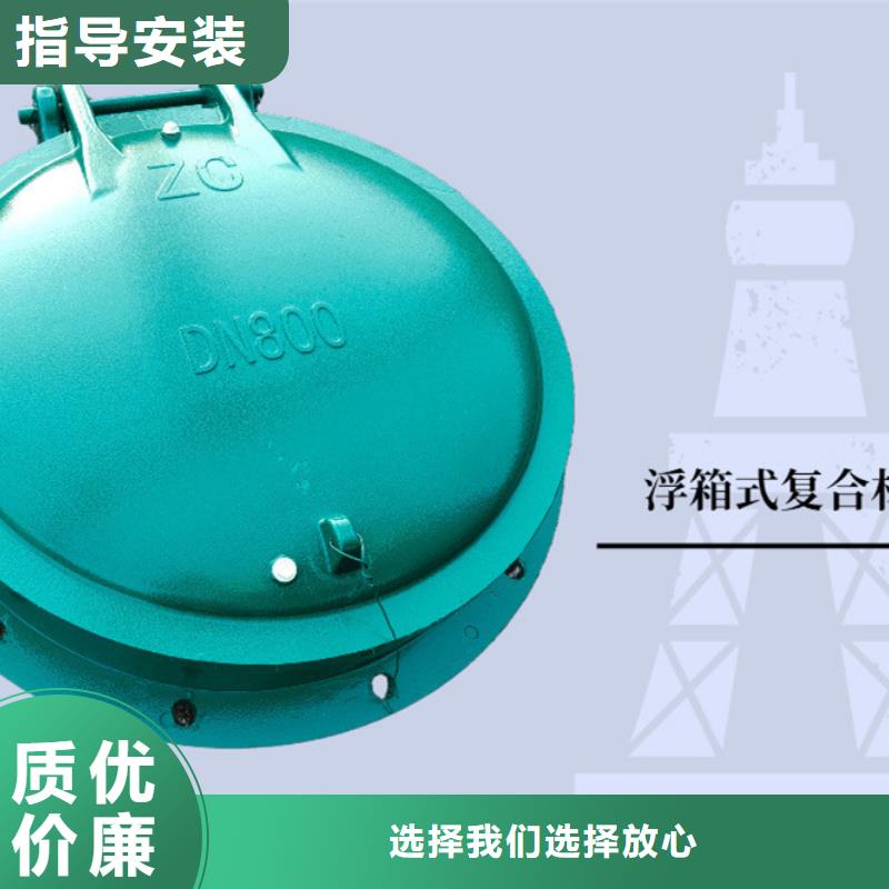 鋼制拍門(mén)拍門(mén)廠家多種規(guī)格本地服務(wù)商