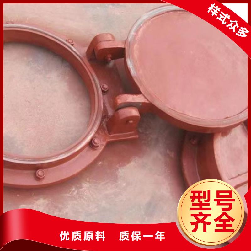側(cè)開式鋼拍門復(fù)合材料拍門廠家靈活耐用拒絕中間商