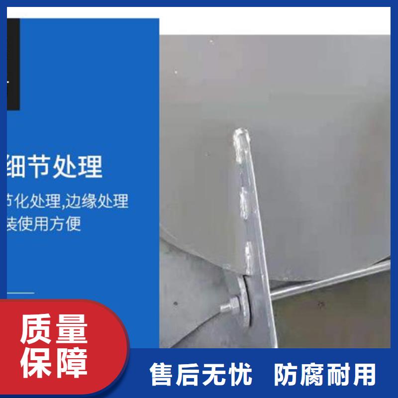 雙開門式拍門側(cè)開式拍門廠家操作簡單實(shí)體廠家