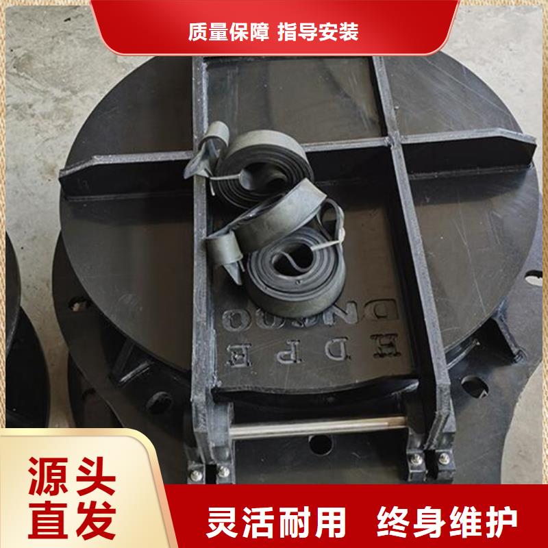 拍門鋼制拍門廠家操作簡單工藝層層把關(guān)