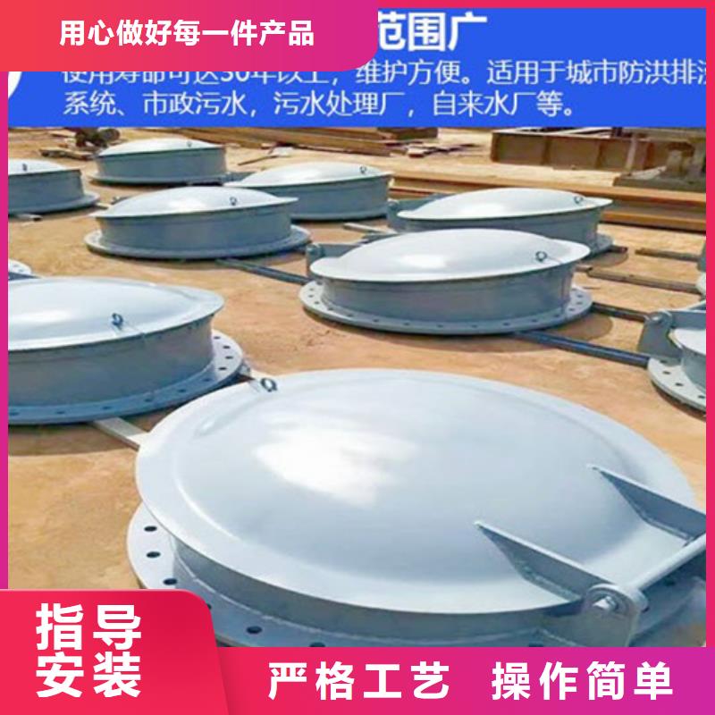 側(cè)開式鋼拍門鋼制拍門廠家專業(yè)生產(chǎn)同城貨源