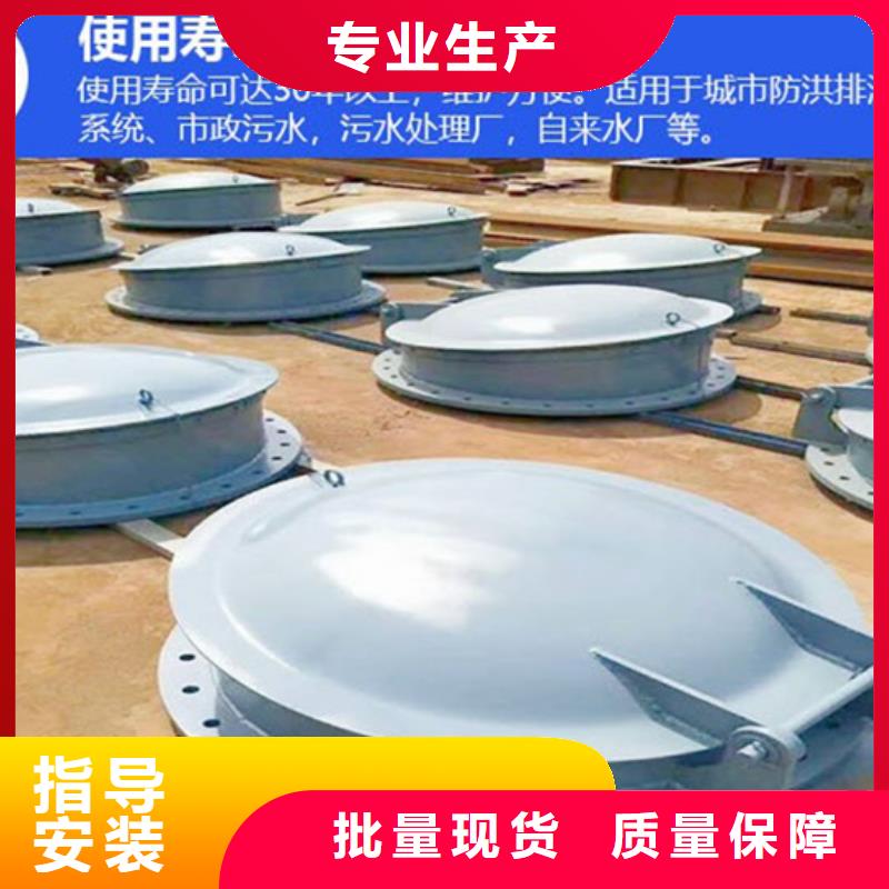 鋼制拍門復(fù)合材料拍門經(jīng)久耐用專業(yè)生產(chǎn)團隊