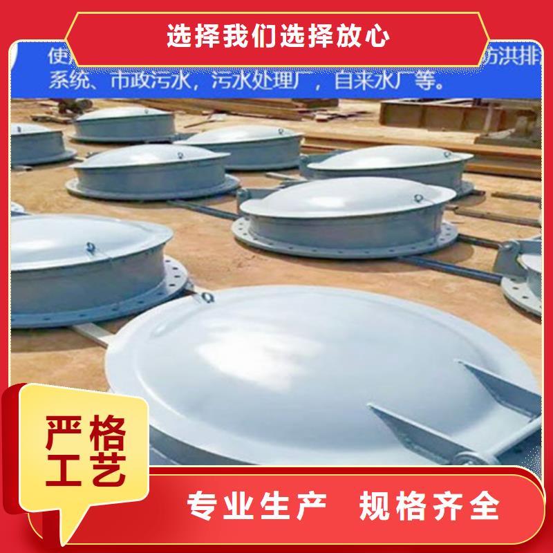 玻璃鋼拍門單開拍門專業(yè)生產(chǎn)顏色尺寸款式定制