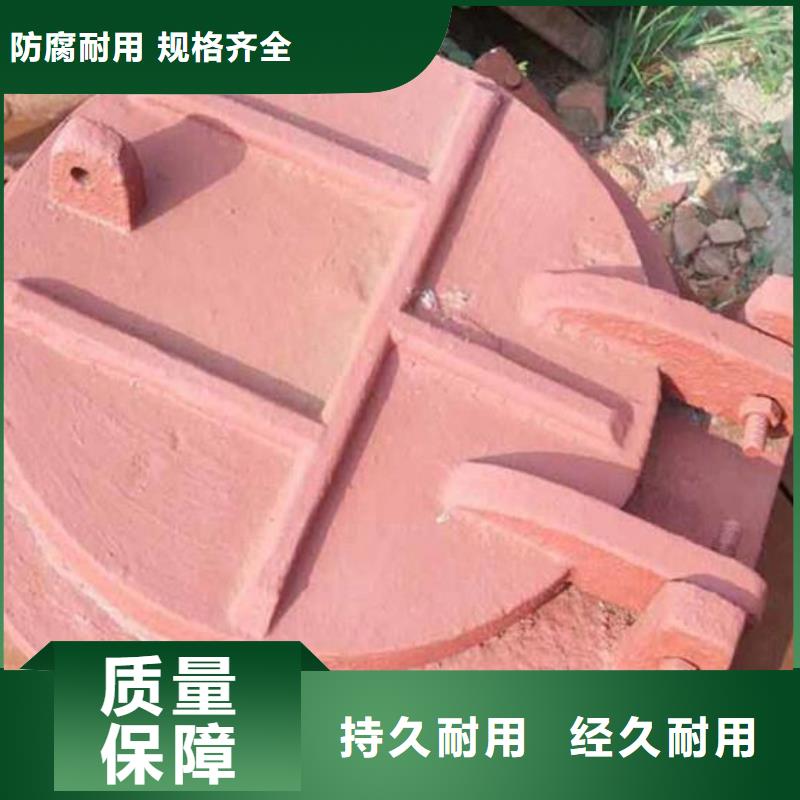 側(cè)開式拍門雙開門式拍門廠家經(jīng)久耐用高性價(jià)比