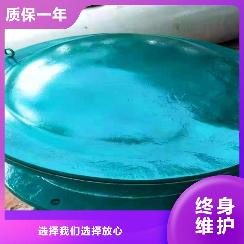 侧开式拍门双开门式拍门厂家规格齐全安心购