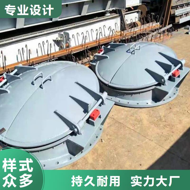 浮箱拍门侧开式拍门厂家质保一年工厂自营