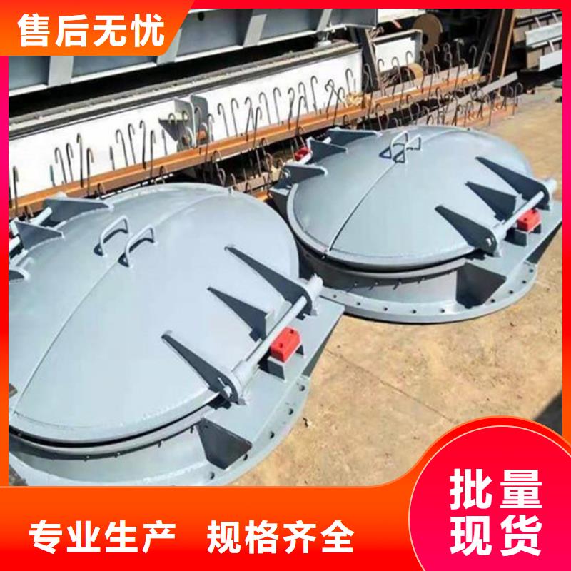 雙開門式拍門側開式拍門廠家售后無憂品質保障售后無憂