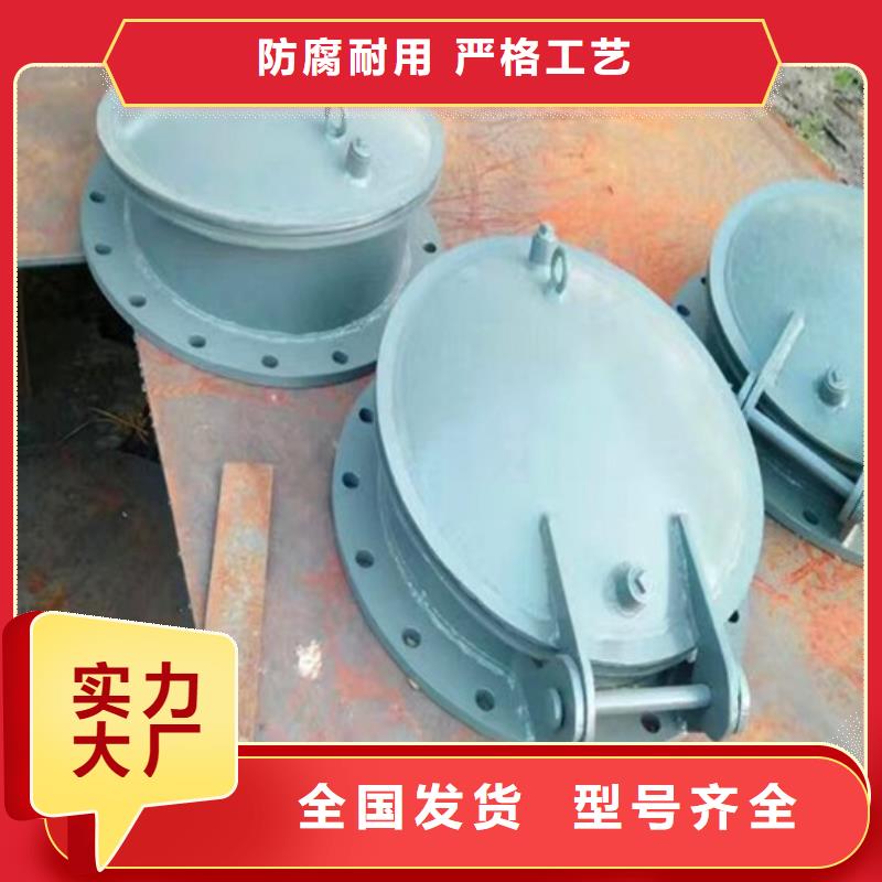 浮箱拍門拍門廠家批量現(xiàn)貨當(dāng)?shù)厣a(chǎn)商