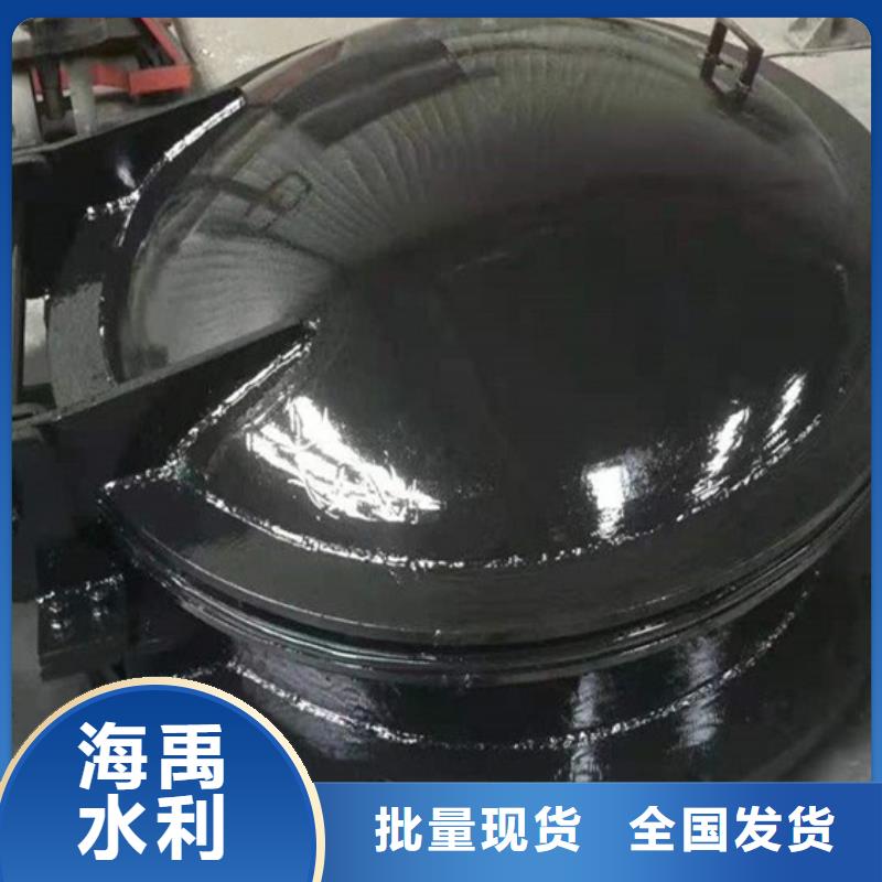 雙開門式拍門拍門廠家專業(yè)生產(chǎn)實力公司