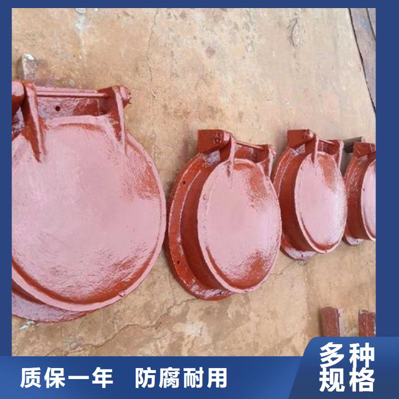 拍門(mén)方形拍門(mén)實(shí)力大廠源頭工廠