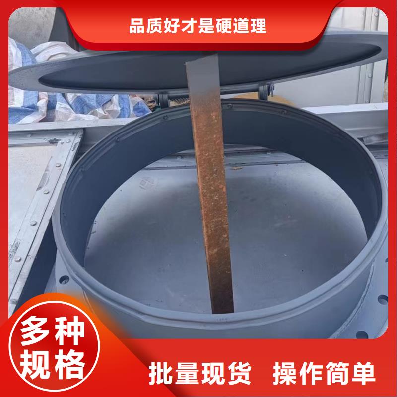 雙開門式拍門側開式拍門廠家樣式眾多可零售可批發(fā)