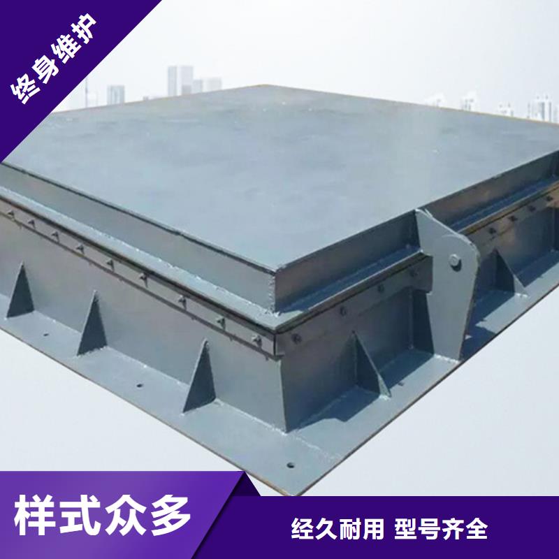 拍门侧开式钢拍门厂家专业设计当地品牌