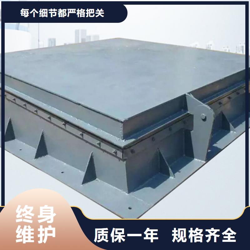 拍門鋼制拍門廠家質(zhì)量保障同城生產(chǎn)廠家